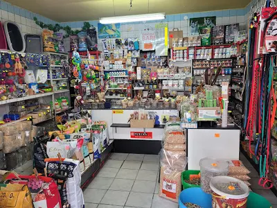 Zebra Sklep Zoologiczny